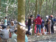 Bắt giữ nghi can hiếp dâm bé gái 4 tuổi, ném xác xuống giếng trong rừng cao su ở Bình Phước